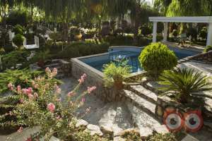 تخفیف ویژه تاریخ های باقی مانده تخفیف ویژه تاریخ های باقی مانده