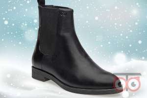 تخفیفات پایان فصل دنیلی تخفیفات پایان فصل دنیلی