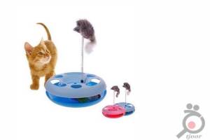 اسباب بازی و سرگرمی گربه