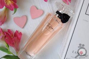 تخفیف ویژه انواع عطرهای زنانه و مردانه تخفیف ویژه انواع عطرهای زنانه و مردانه