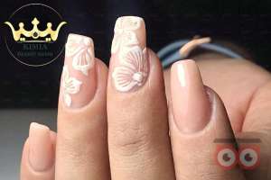 بازدید عروس بهار طبرستانی همراه با آفر قرارداد بازدید عروس بهار طبرستانی همراه با آفر قرارداد