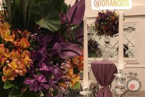 تخفیف تشریفات اورانوس برای تاریخ های باقیمانده تخفیف تشریفات اورانوس برای تاریخ های باقیمانده