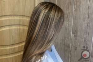 تخفیف کلاس آموزشی خدمات رنگ مو تخفیف کلاس آموزشی خدمات رنگ مو