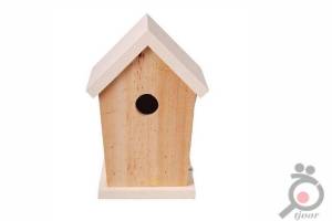 تخفیف لانه پرندگان تخفیف لانه پرندگان