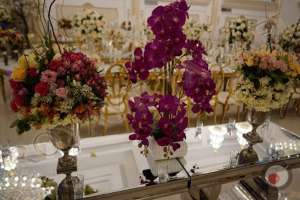 تخفیف ویژه تشریفات رویای طلایی به مدت محدود برای تاریخ های خاص تابستانی تخفیف ویژه تشریفات رویای طلایی به مدت محدود برای تاریخ های خاص تابستانی