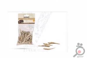 تخفیف بر روی تشویقی گربه ماهی تخفیف بر روی تشویقی گربه ماهی