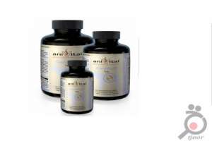 دارو تقویت مفاصل سگ سانان دارو تقویت مفاصل سگ سانان