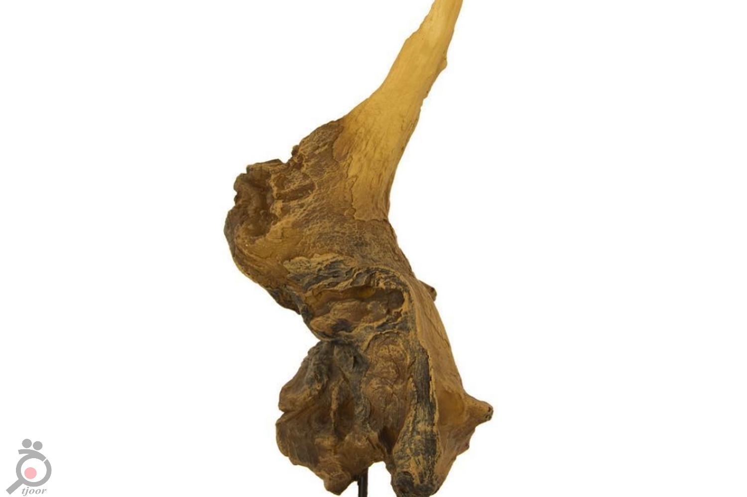 تخفیفات ویژه شب یلدا در درسا چرم تخفیفات ویژه شب یلدا در درسا چرم