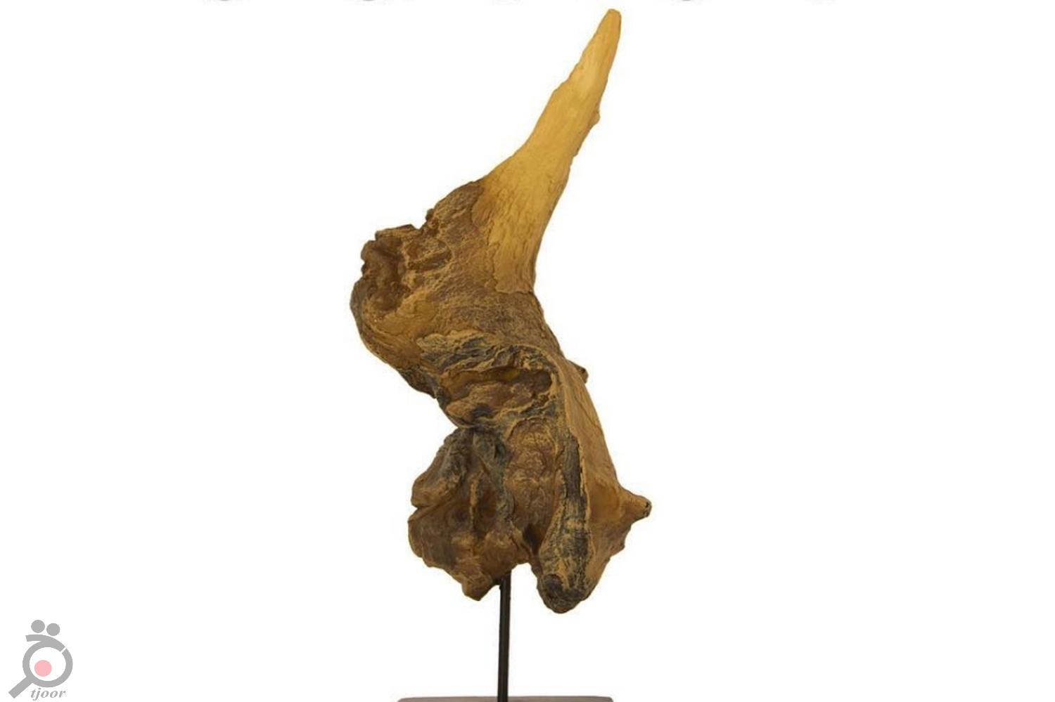 تخفیفات ویژه شب یلدا در درسا چرم تخفیفات ویژه شب یلدا در درسا چرم