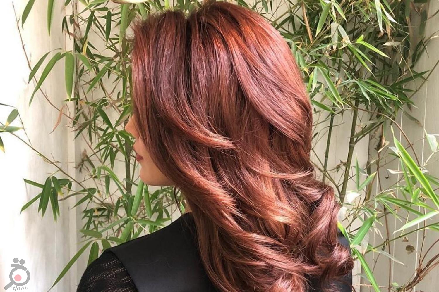 تخفیف یلدایی سالن زیبایی عطری تخفیف یلدایی سالن زیبایی عطری