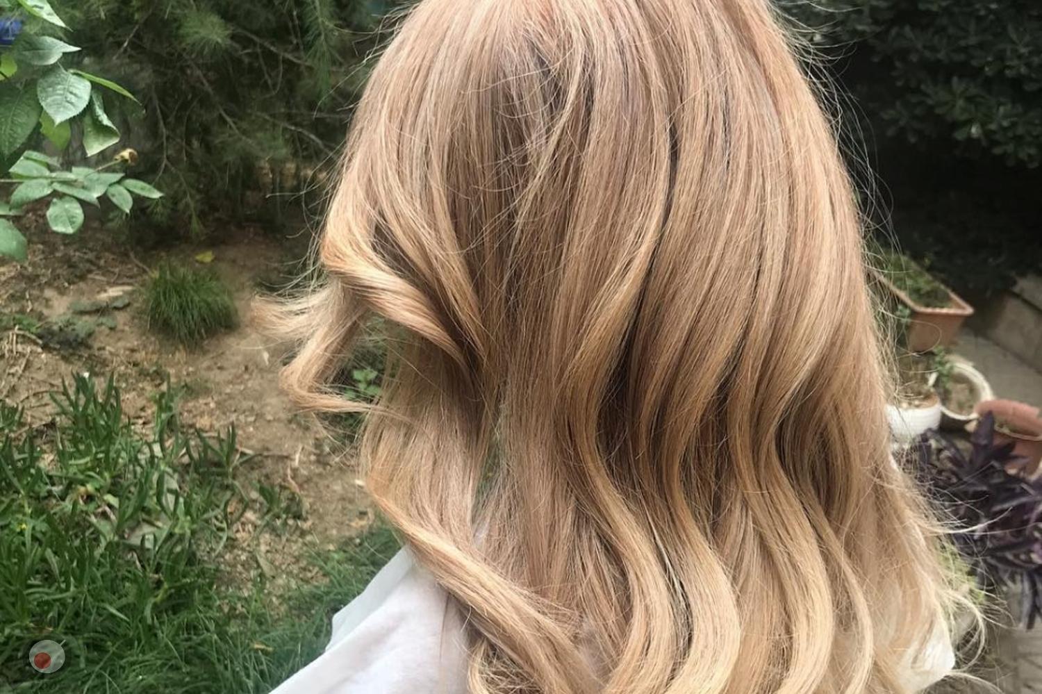 بازدید عروس بازدید عروس