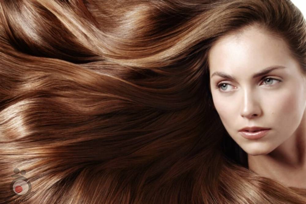 تخفیف ویژه دوره آموزشی احیا و درمان مو تخفیف ویژه دوره آموزشی احیا و درمان مو