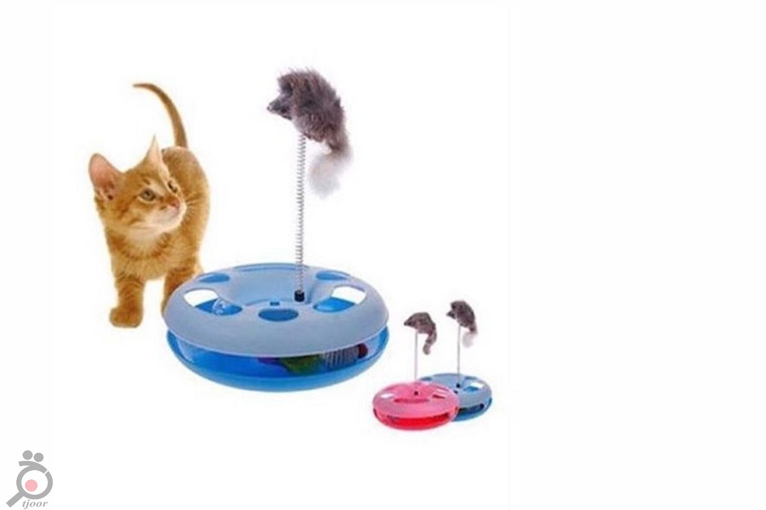 اسباب بازی و سرگرمی گربه