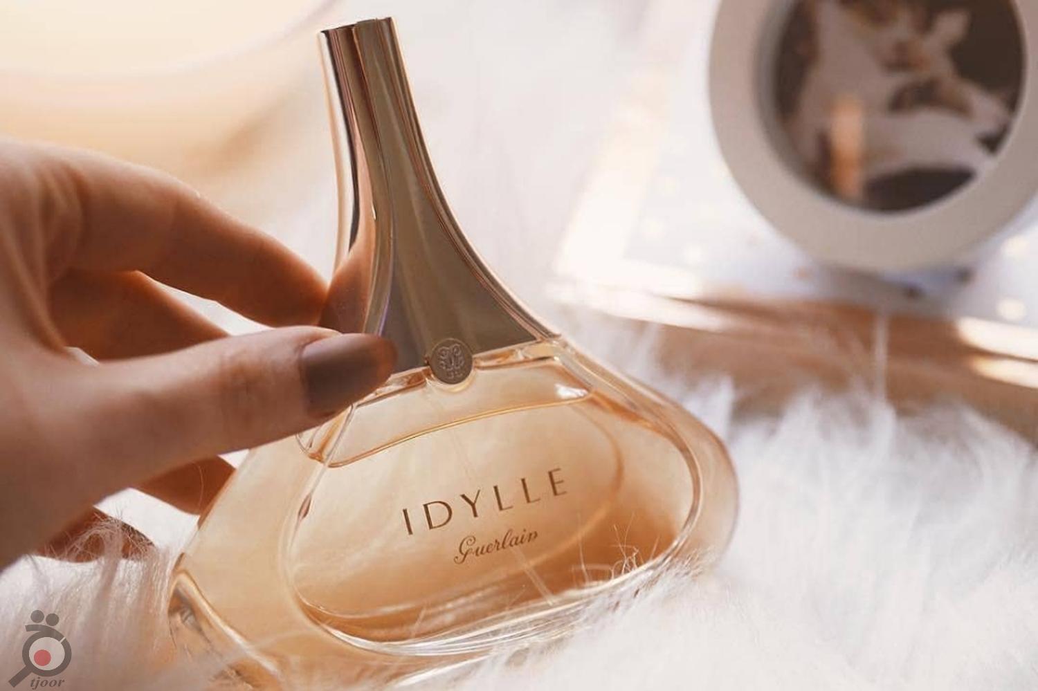 تخفیف ویژه انواع عطرهای زنانه و مردانه تخفیف ویژه انواع عطرهای زنانه و مردانه