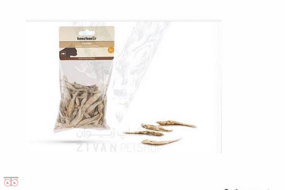فروش ملزومات حیوانات (سگ ، گربه، جوندگان ...) فروش ملزومات حیوانات (سگ ، گربه، جوندگان ...)