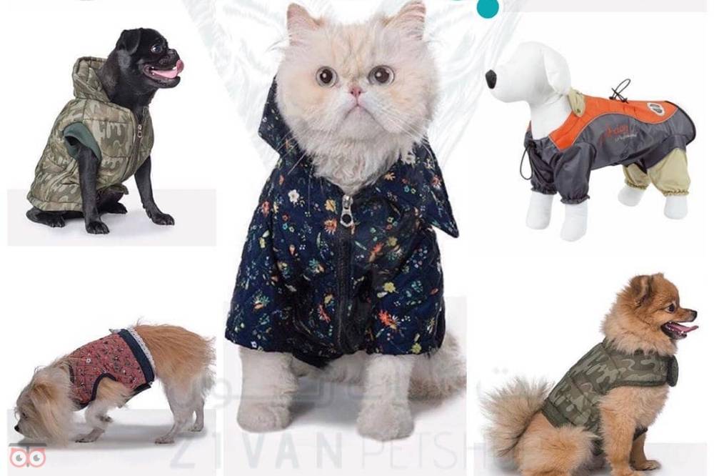 تخفیف لباس زمستانی مخصوص سگ و گربه های جذاب