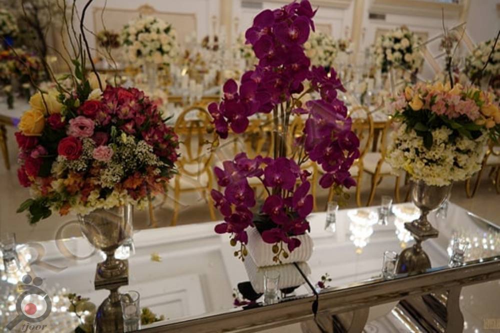 تخفیف ویژه تشریفات رویای طلایی به مدت محدود برای تاریخ های خاص تابستانی تخفیف ویژه تشریفات رویای طلایی به مدت محدود برای تاریخ های خاص تابستانی