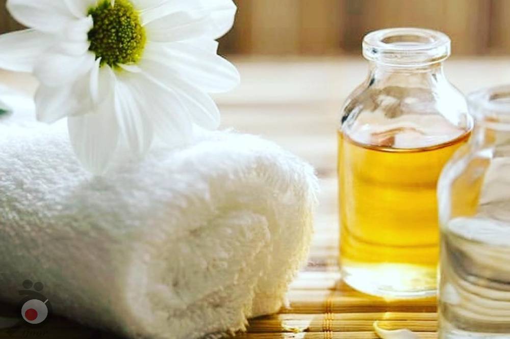 تخفیف خدمات زیبایی مو و رنگ و لایت تخفیف خدمات زیبایی مو و رنگ و لایت