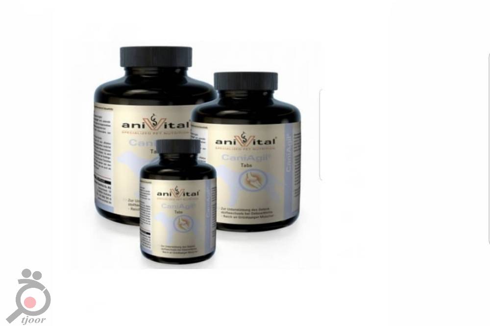 دارو تقویت مفاصل سگ سانان دارو تقویت مفاصل سگ سانان